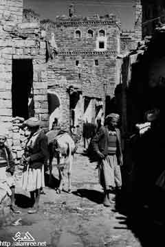 ���� ������ ��� ��� ����